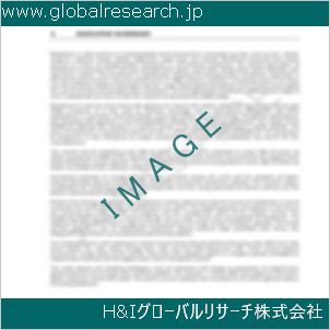グローバルリサーチ調査資料のイメージ
